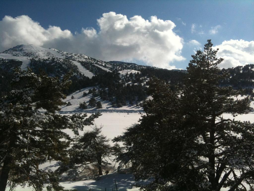 Apartment Face Aux Pistes เกรโอลิแยร์ เลส์ เนชส์ ภายนอก รูปภาพ