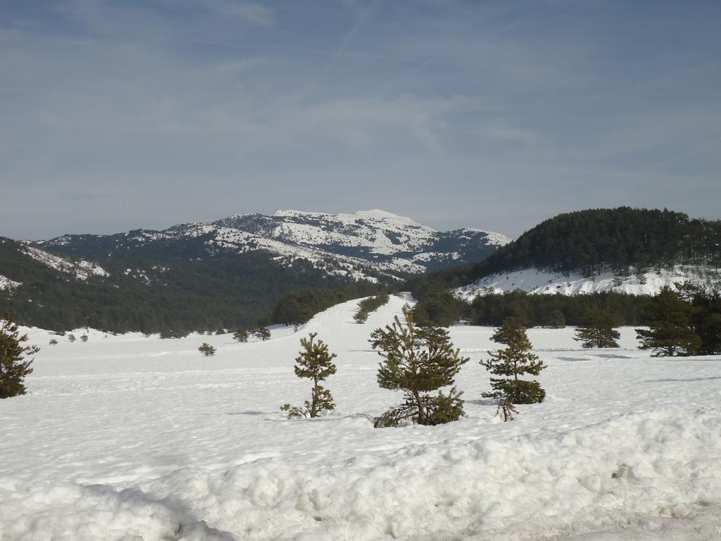 Apartment Face Aux Pistes เกรโอลิแยร์ เลส์ เนชส์ ภายนอก รูปภาพ