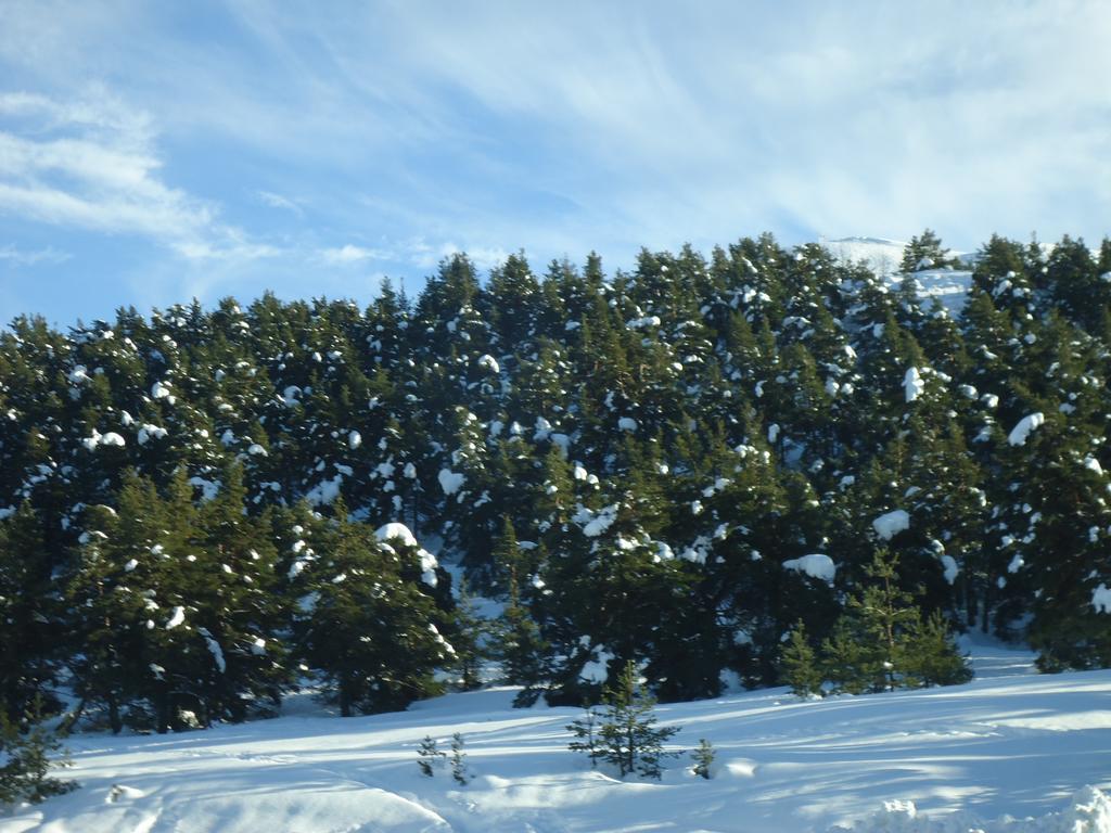 Apartment Face Aux Pistes เกรโอลิแยร์ เลส์ เนชส์ ภายนอก รูปภาพ