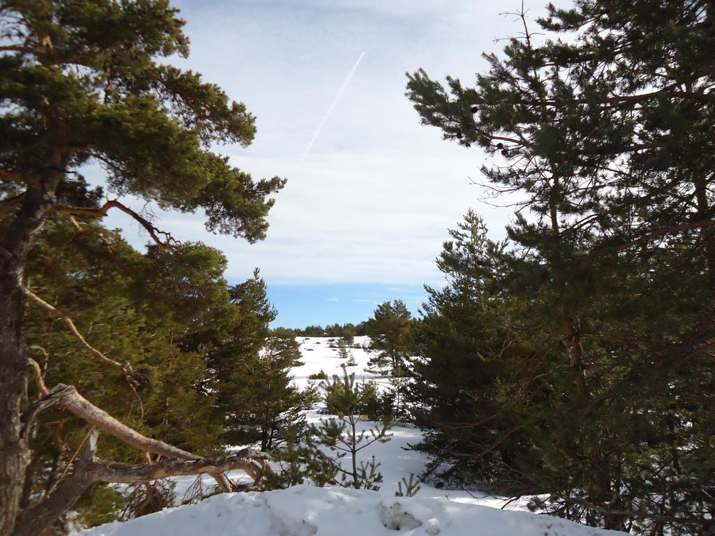 Apartment Face Aux Pistes เกรโอลิแยร์ เลส์ เนชส์ ภายนอก รูปภาพ