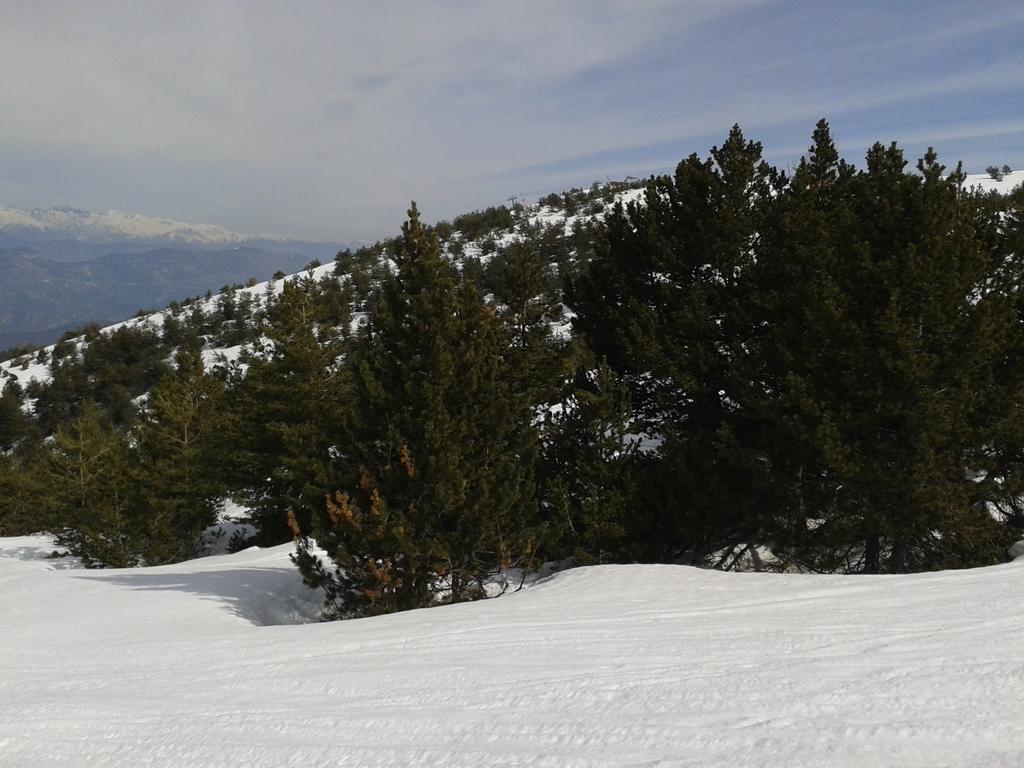 Apartment Face Aux Pistes เกรโอลิแยร์ เลส์ เนชส์ ภายนอก รูปภาพ