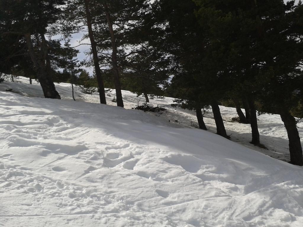 Apartment Face Aux Pistes เกรโอลิแยร์ เลส์ เนชส์ ภายนอก รูปภาพ