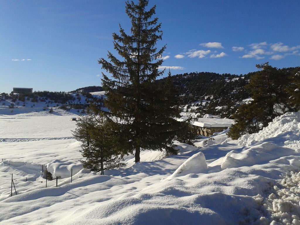 Apartment Face Aux Pistes เกรโอลิแยร์ เลส์ เนชส์ ภายนอก รูปภาพ